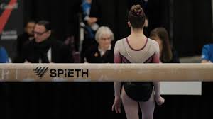 gymnastics balance beam for home