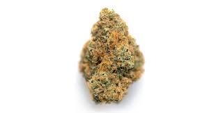 The strain is indica dominant, with the indica to sativa ratio . Lemon Haze Weed Strain Information Leafly