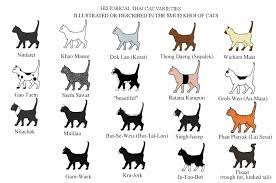 breeds originating from south east asia