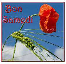 Résultat de recherche d'images pour "bon samedi"