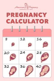Pregnancy Dating Calendar Pregnancy Due Date Calculator Nhs