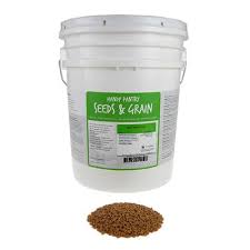Certified Organic Spelt Grain Sprouting