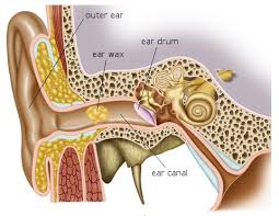 Can't remember how to change the wax guard in your hearing aid? Ear Wax Impaction Ear Clean Clinic