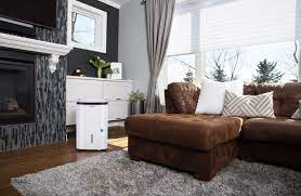 5 Best Dehumidifiers With A Pump