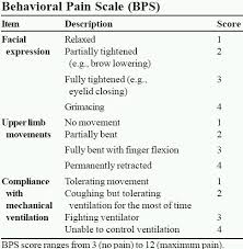 Assessment Of Sedation And Analgesia In Mechanically