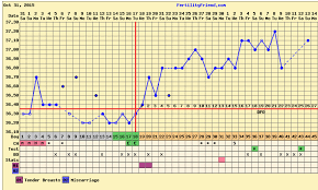 Intro And Questions Re Temping After Loss The Bump