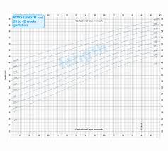 79 Expert 8th Month Baby Weight Chart