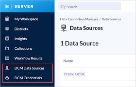 data connection manager server ui