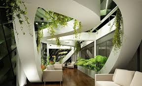 hd wallpaper plants modern design