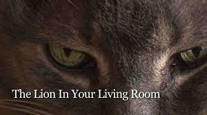 the lion in your living room teaser