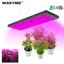 Hot Offer 6f757 Wakyme 600w Led Grow Light Phyto Lamp Full Spectrum Plant Lamp Growing Light For Vertical Farming Veg Flower Seeds Indoor Plants Cicig Co