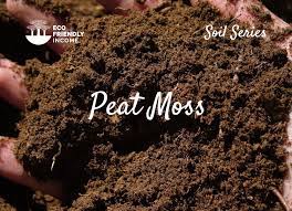 peat moss what it s made of what it