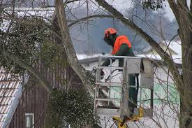 Tree services, arborists, tree pruning, tree services, tree removal, tree nurseries and more in buford, ga. Do I Need A Permit To Remove A Tree Gordon Pro Tree Service