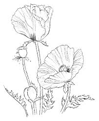 Flower Coloring Pages Printables Pinterest Coloring Pages