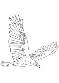 Vultures coloring pages prepare the printer and click on the drawing of the vulture you prefer. Coloring Pages Flying Vulture Coloring Pages