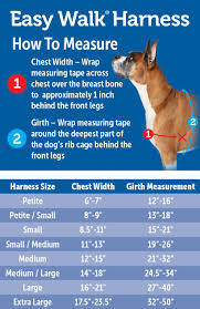 Petsafe Easy Walk Harness For Small Medium Large Dogs Medium Black Grey 1 8 M Lead