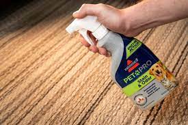 5 best carpet stain removers 2023