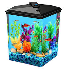 Fish tanks direct specializes exclusively in freshwater aquariums and saltwater fish tanks. A Complete Guide To Corner Aquariums Overview And Recommendations