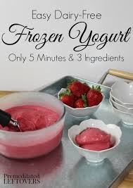 dairy free frozen yogurt recipe