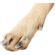 purrdy paws soft dog nail caps 20