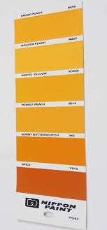 Multicolor Nippon Paint Pg67 Shade Card