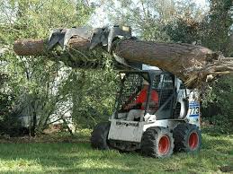 For these reasons, we regulate trees and vegetation removal on private property in certain situations. Tree Removal Allen Tree Experts Raleigh Nc Allen Tree Experts