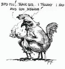 Find and save bird flu memes | when a person is moving, selling or using a kilo of cocaine. Funny Picture Bird Flu Cure For Avian Flu Funny Jokes
