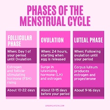 pain during ovulation is it normal