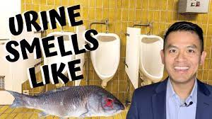 your urine smells like fish
