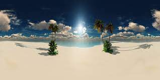 tropical beach with palm trees at