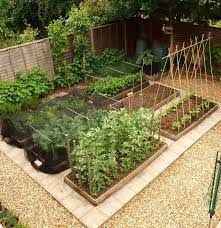 vegetable garden layout for small