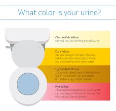 What Color Is Your Urine Uci Health Orange County Ca