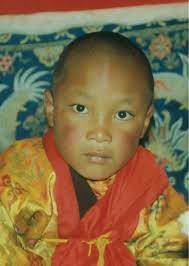 9 Die 17. Inkarnation des glorreichen Gyalwang Karmapa