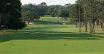 Ocala Golf Club | Golf Courses Ocala Florida
