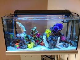 Image result for types of aquarium tanks