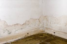How To Clean Drywall Stains Mold Etc