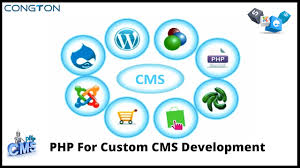 Web Development Software Development