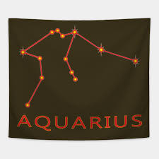 Aquarius Star Chart Zodiac