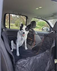10 Best Dog Car Seat Covers Australia