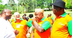 Improved cassava varieties