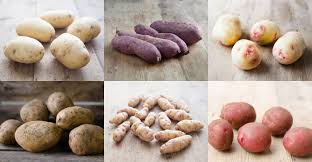Potato Varieties The Ultimate Guide To The Best For Chips