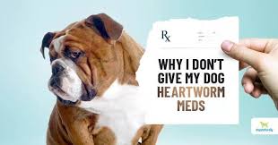 why i don t give my dog heartworm meds