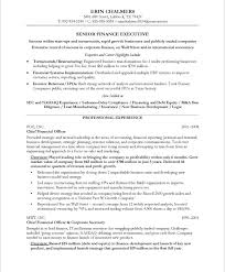 Another executive sample resume   executive  resume  resumewriters
