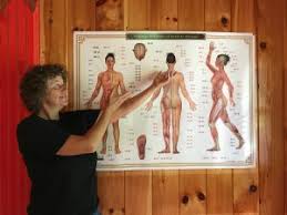 Acupressure Chart Pathways And Points Of Meridian Massage