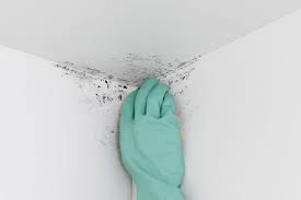 how to remove mold on bathroom ceilings
