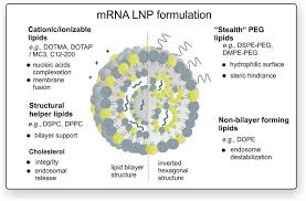 mrna lipid nanoparticles