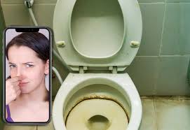 l odeur d urine toilette
