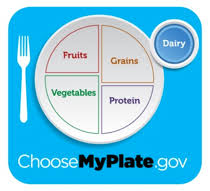 putting myplate on your table dairy