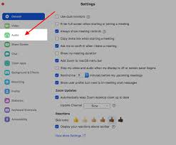 how to mute zoom meeting the most