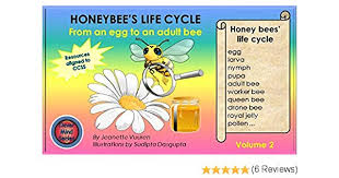 Science Honeybees Life Cycle Volume 2 Honey Bees Life Cycle Honey Bee Information Vocabulary Education Resources For Children Worksheets On
